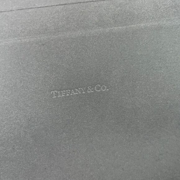 Tiffany & Co. Eyeglass Sunglass Case With Box and Certificate - Picture 6 of 14